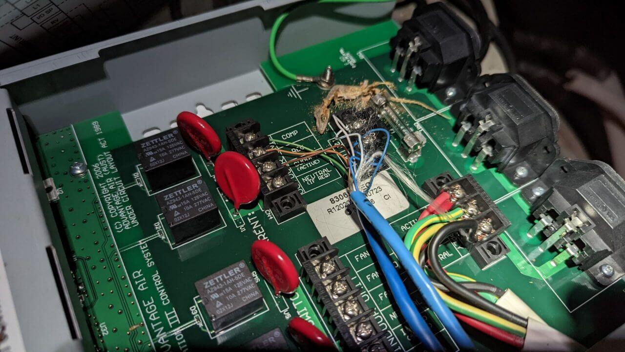 Gecko Proof Air Conditioners How To Deter Geckos Smarter Air