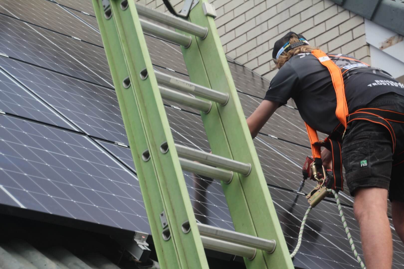 solar-panel-electrician-on-roof (7) A worker wearing a safety harness climbs a ladder on a solar-paneled roof, clipping onto a safety line while reaching toward the panels.